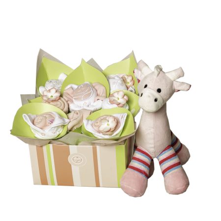 Babybuds baby Gifts Delivery New Zealand & same day Auckland